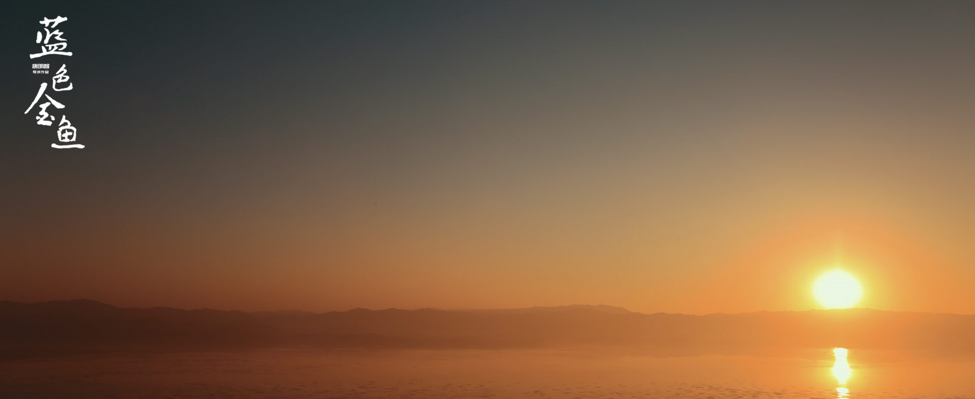 蓝色金鱼剧照的剧照