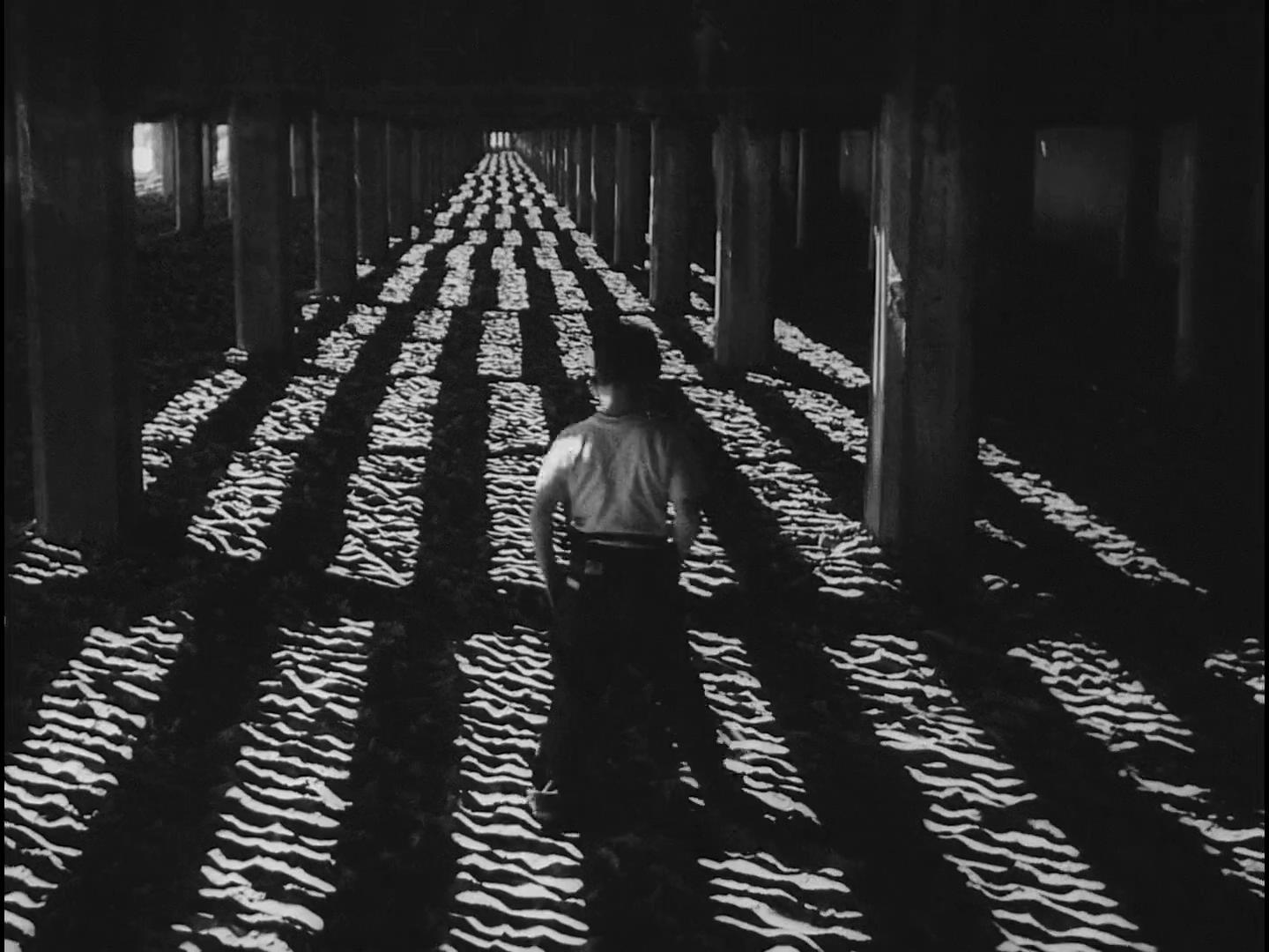 小逃亡者剧照的剧照