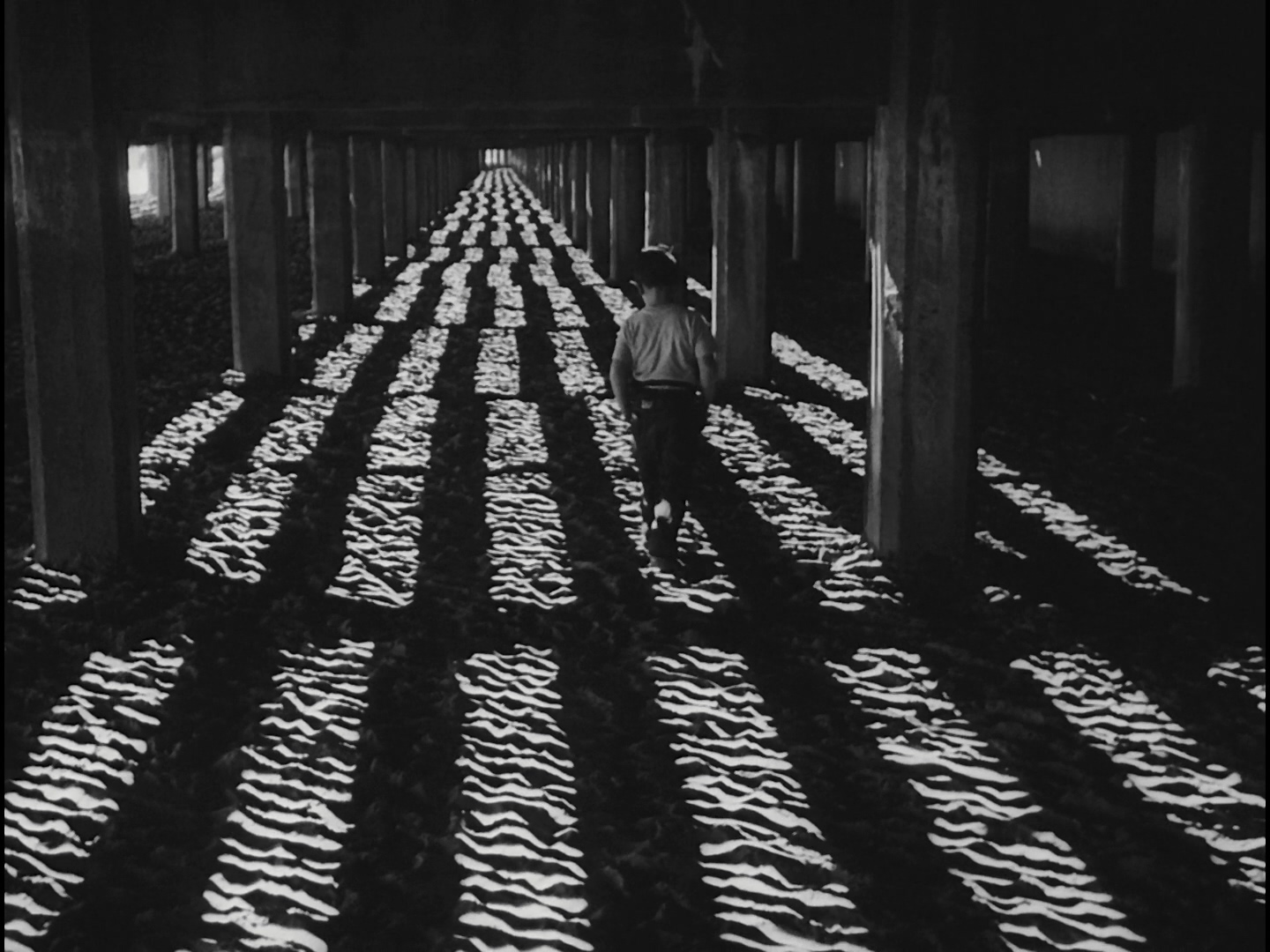 小逃亡者剧照的剧照