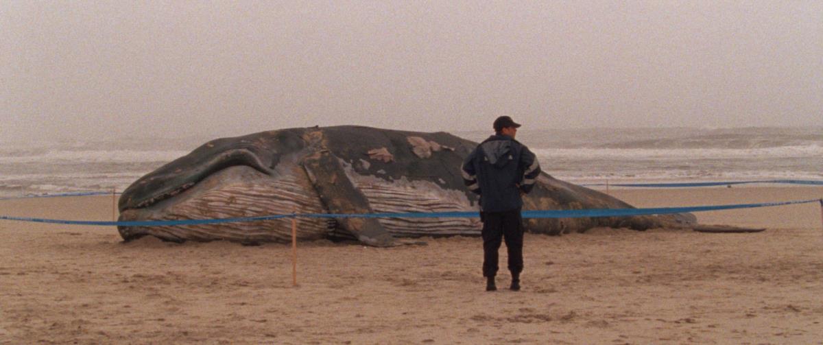 一千零一夜第1部：不安之人剧照的剧照