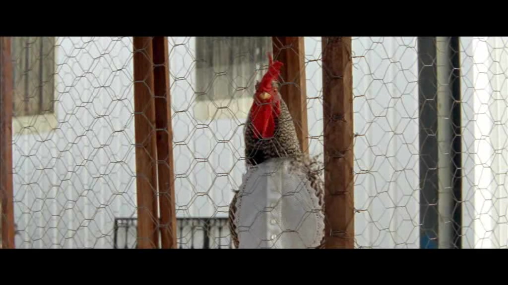 一千零一夜第1部：不安之人剧照的剧照