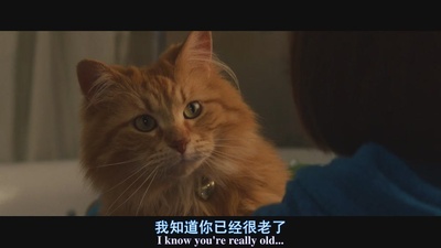 蕾蒙娜和姐姐剧照的剧照