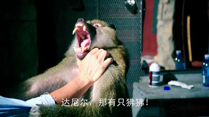 狱前教育剧照的剧照