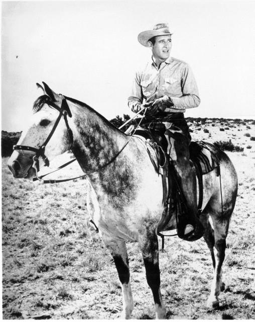 原野铁汉剧照的剧照