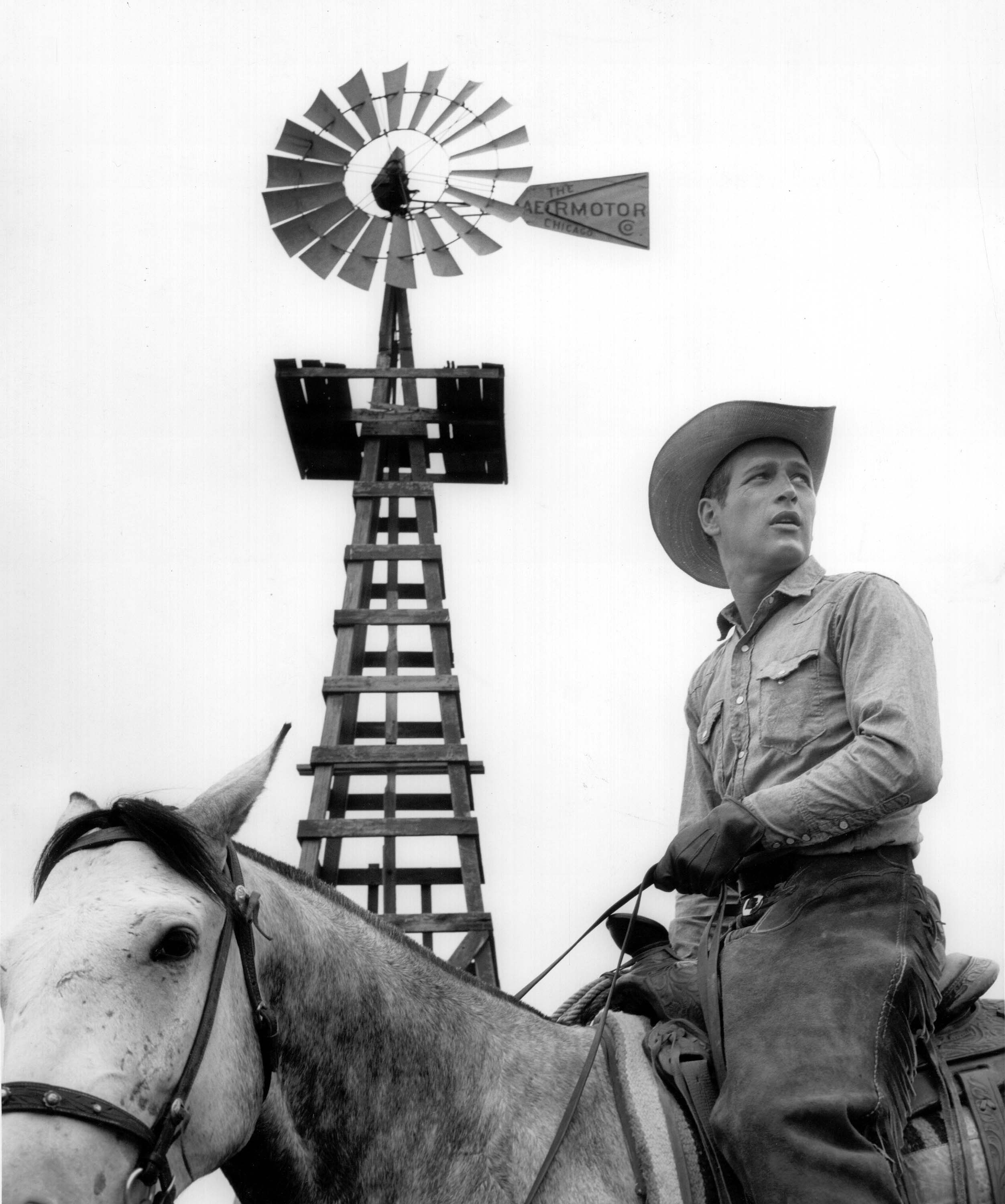 原野铁汉剧照的剧照