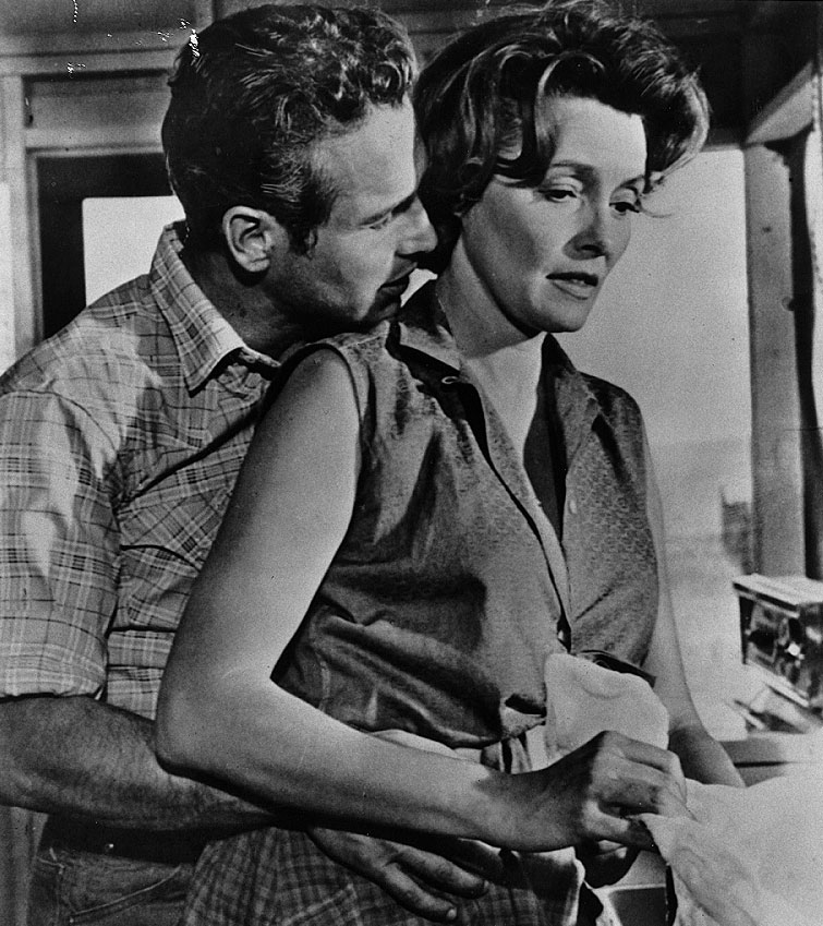 原野铁汉剧照的剧照