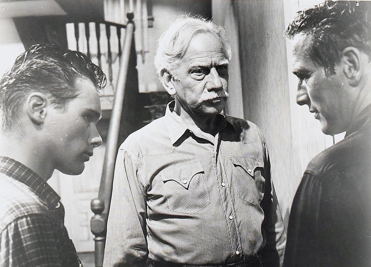 原野铁汉剧照的剧照