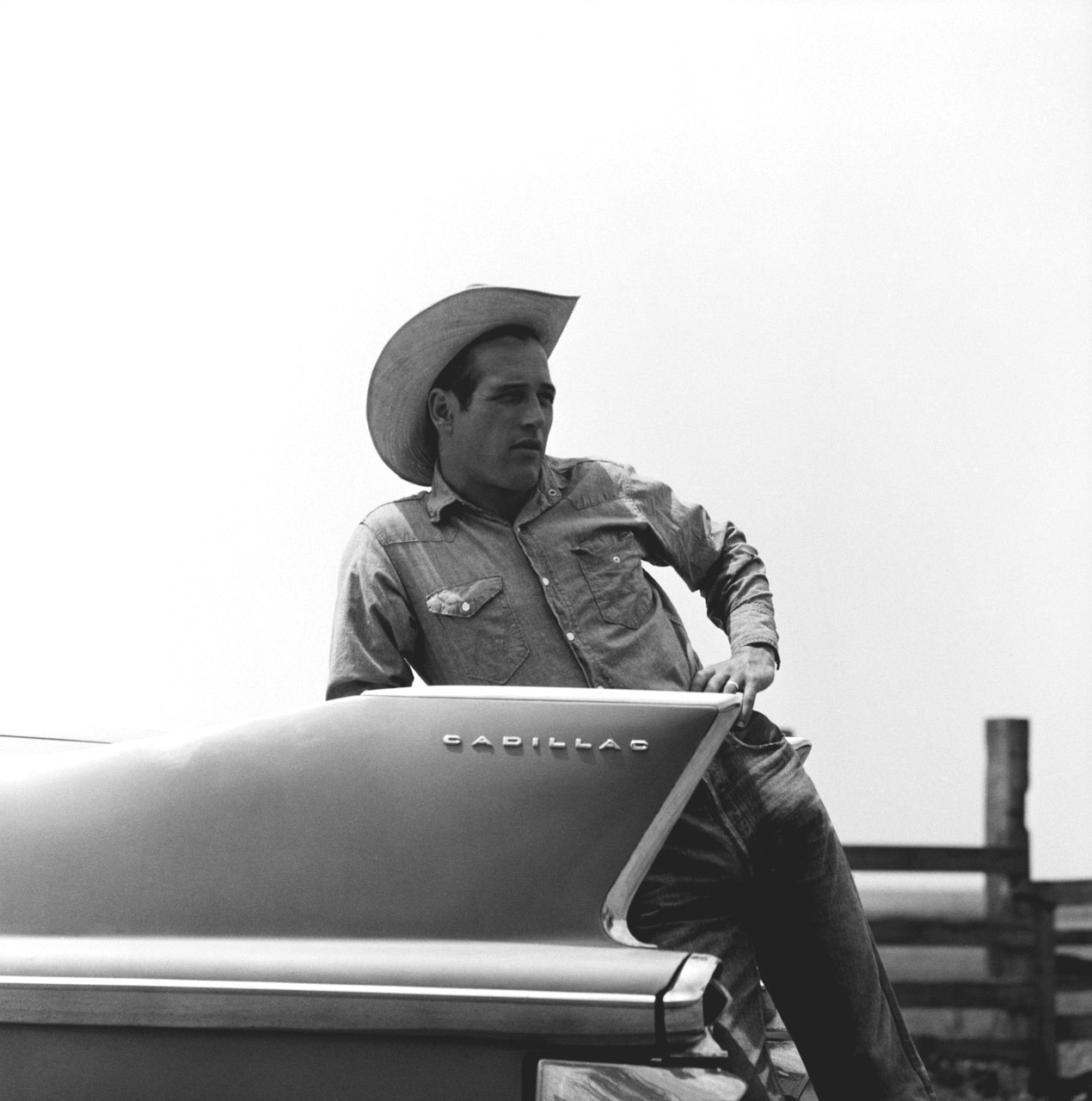 原野铁汉剧照的剧照