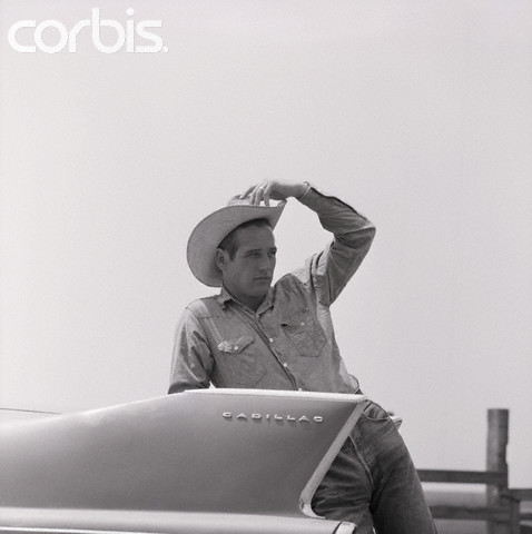 原野铁汉剧照的剧照