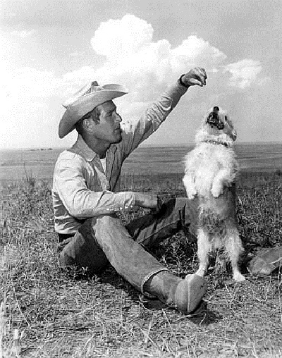 原野铁汉剧照的剧照