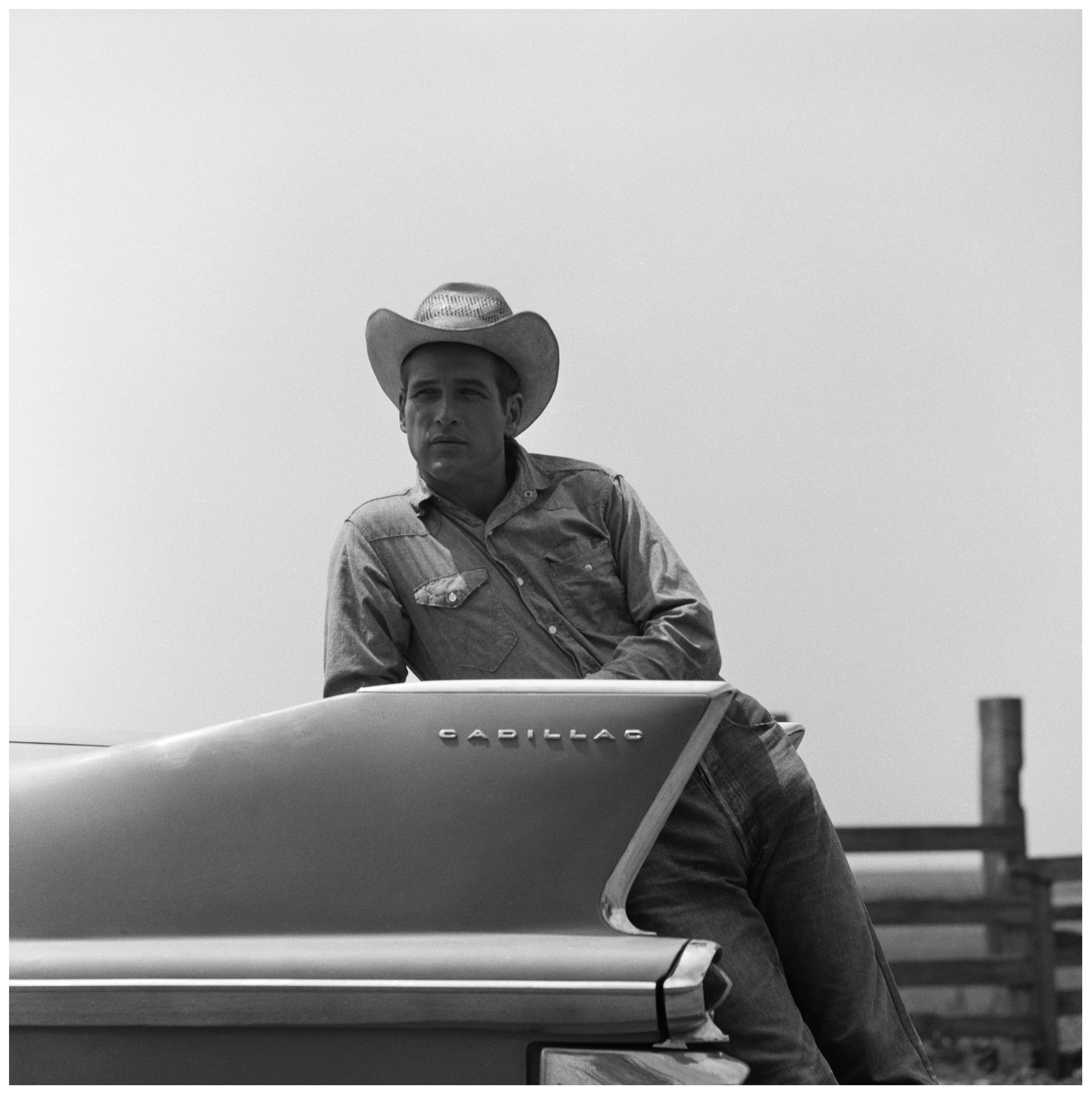 原野铁汉剧照的剧照