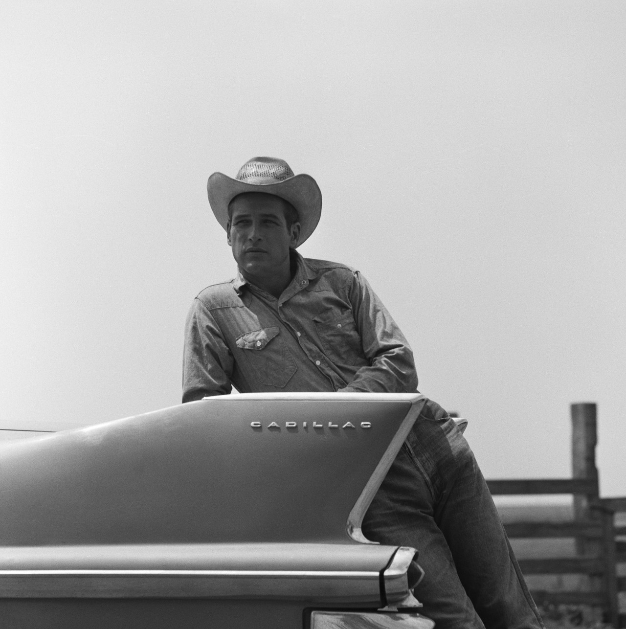 原野铁汉剧照的剧照