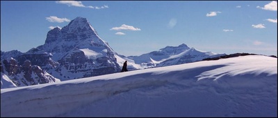 上海正午剧照的剧照