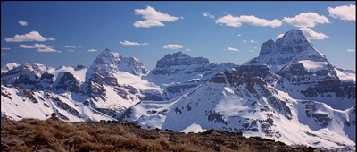 上海正午剧照的剧照