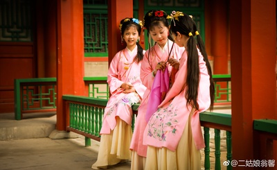 小戏骨之刘姥姥进大观园剧照的剧照