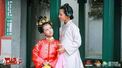 小戏骨之刘姥姥进大观园剧照的剧照