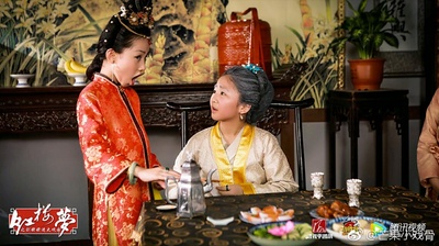 小戏骨之刘姥姥进大观园剧照的剧照