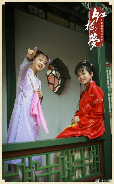 小戏骨之刘姥姥进大观园剧照的剧照