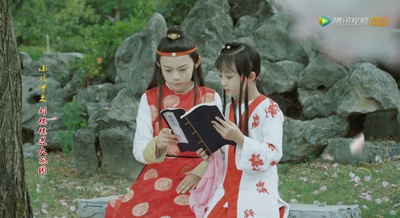 小戏骨之刘姥姥进大观园剧照的剧照