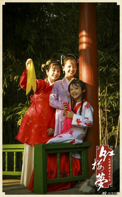 小戏骨之刘姥姥进大观园剧照的剧照