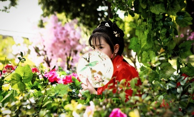 小戏骨之刘姥姥进大观园剧照的剧照