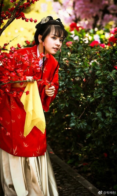 小戏骨之刘姥姥进大观园剧照的剧照