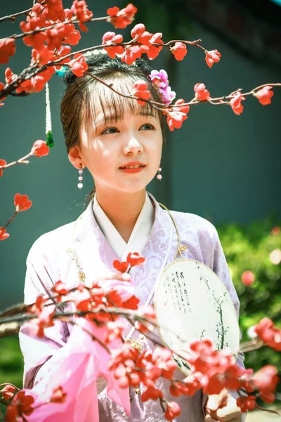 小戏骨之刘姥姥进大观园剧照的剧照