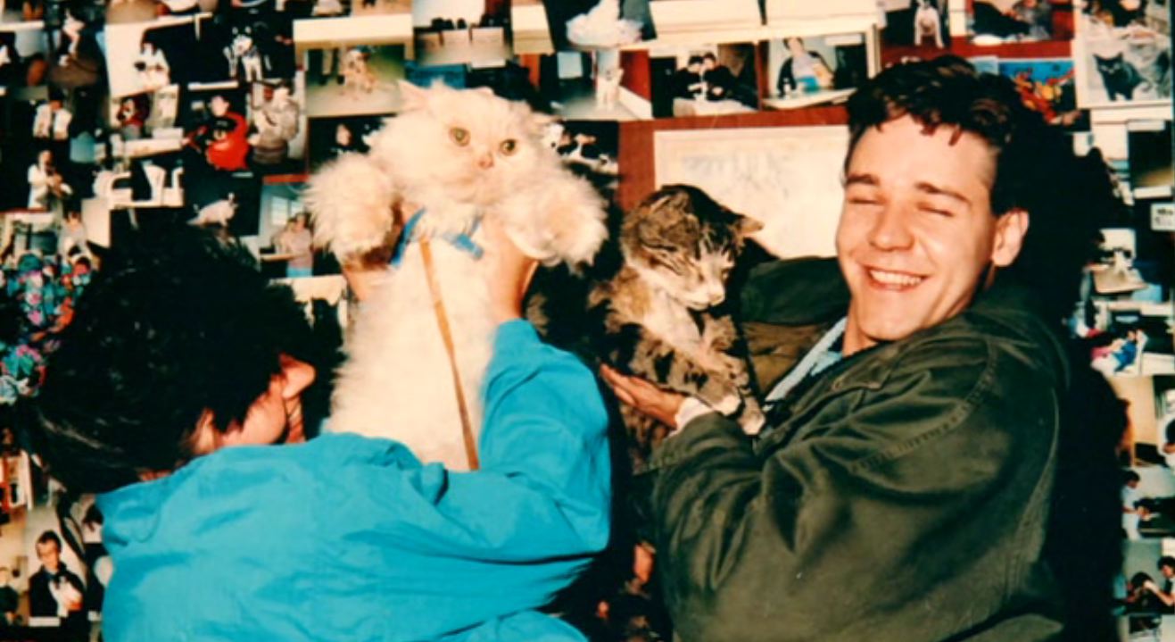 情如物证剧照的剧照