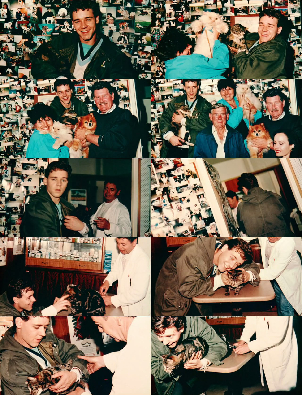 情如物证剧照的剧照