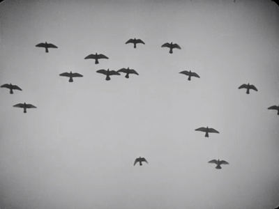 圣女贞德蒙难记剧照的剧照