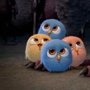 火鸡总动员剧照