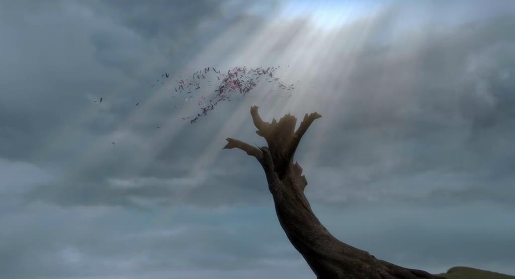 火鸡总动员剧照的剧照