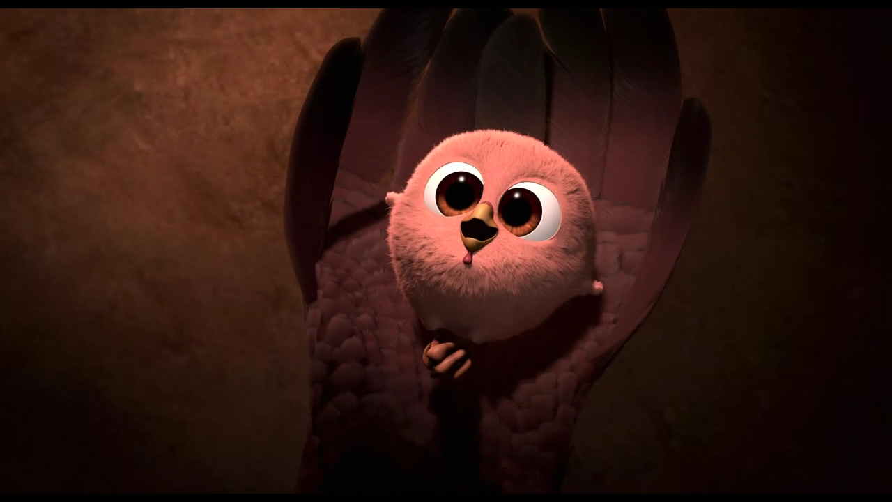 火鸡总动员剧照的剧照