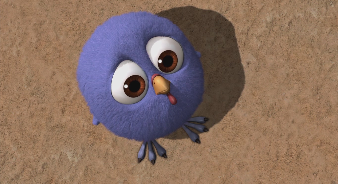 火鸡总动员剧照的剧照