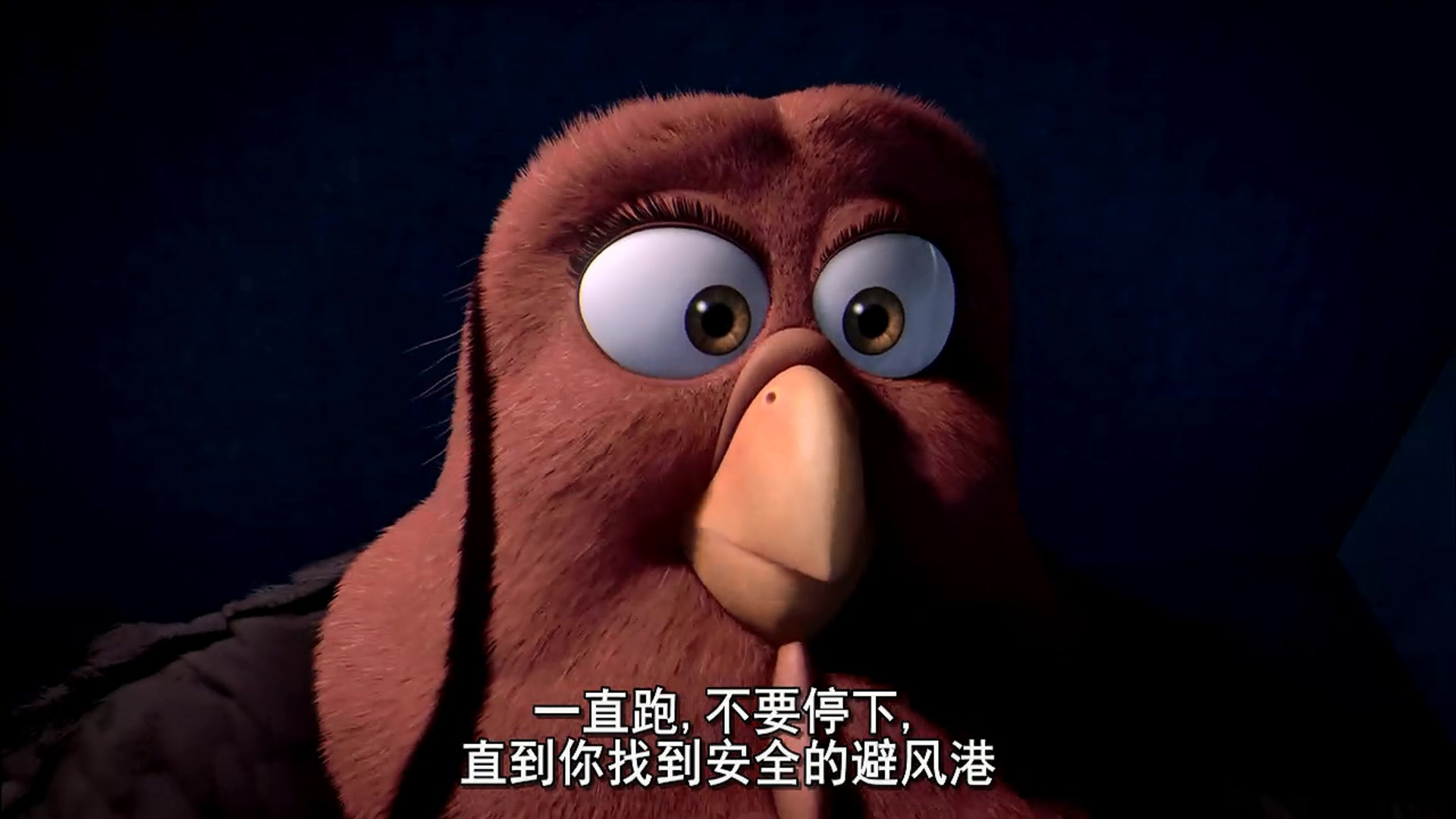 火鸡总动员剧照的剧照