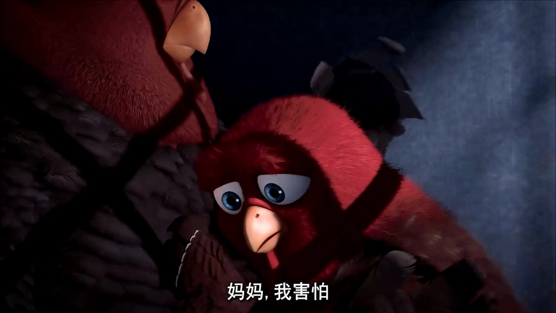 火鸡总动员剧照的剧照