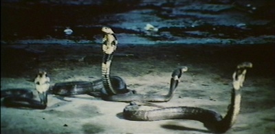 蛇魔女大闹都市剧照的剧照