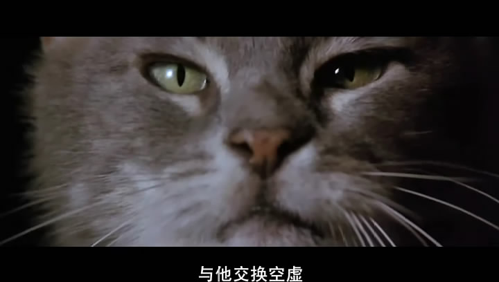 罗丹的情人剧照的剧照