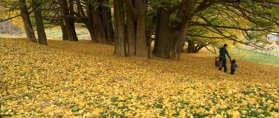 落经山剧照的剧照