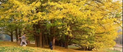 落经山剧照的剧照