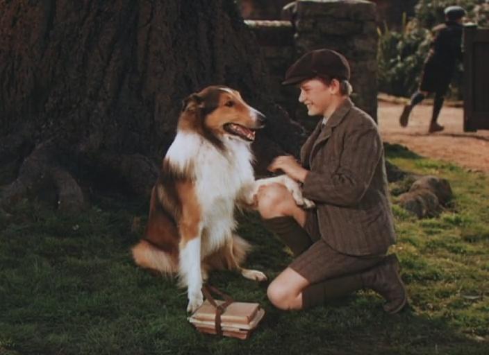 灵犬莱西剧照的剧照