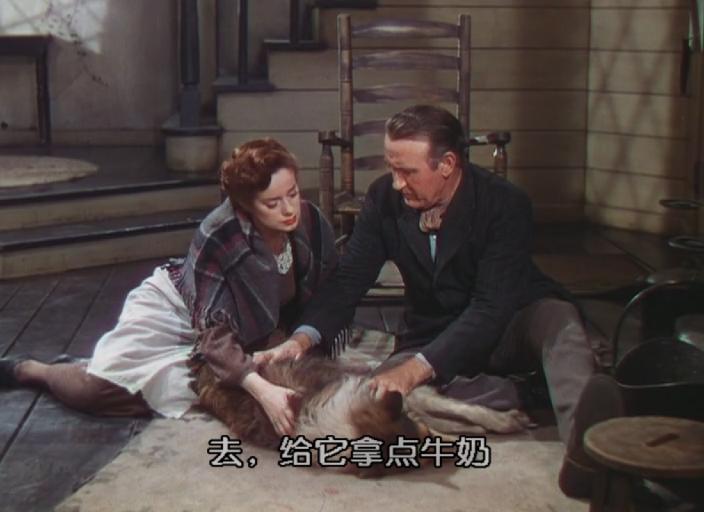 灵犬莱西剧照的剧照