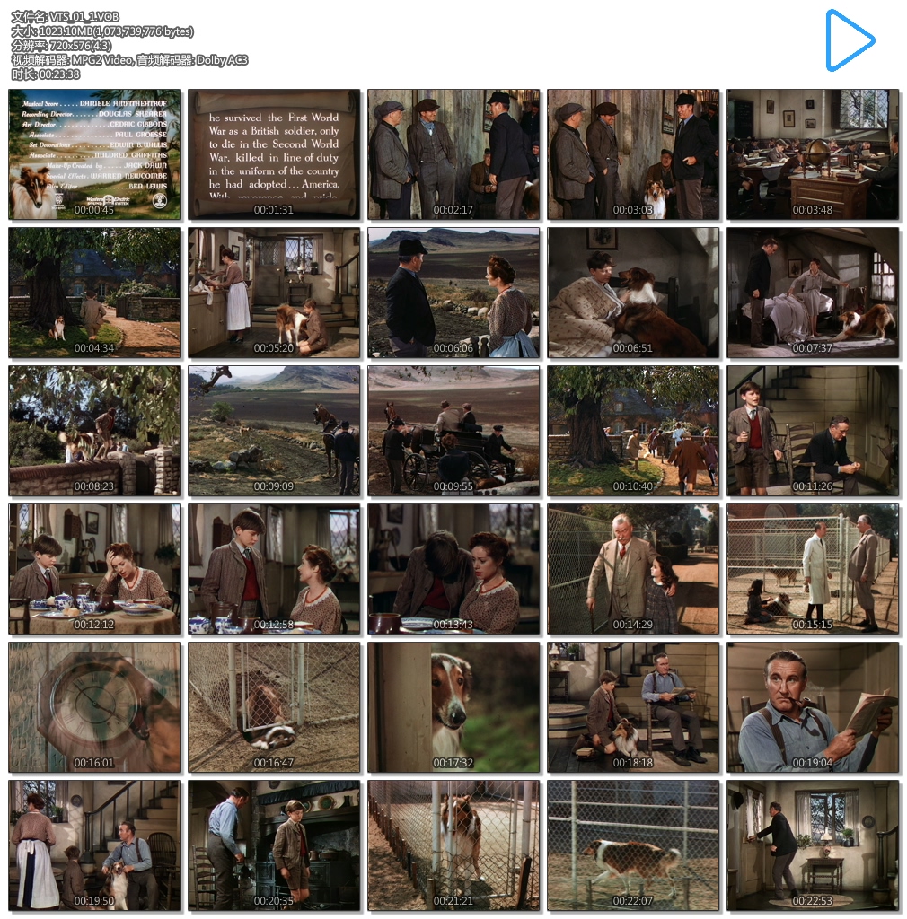 灵犬莱西剧照的剧照