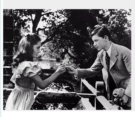 灵犬莱西剧照的剧照