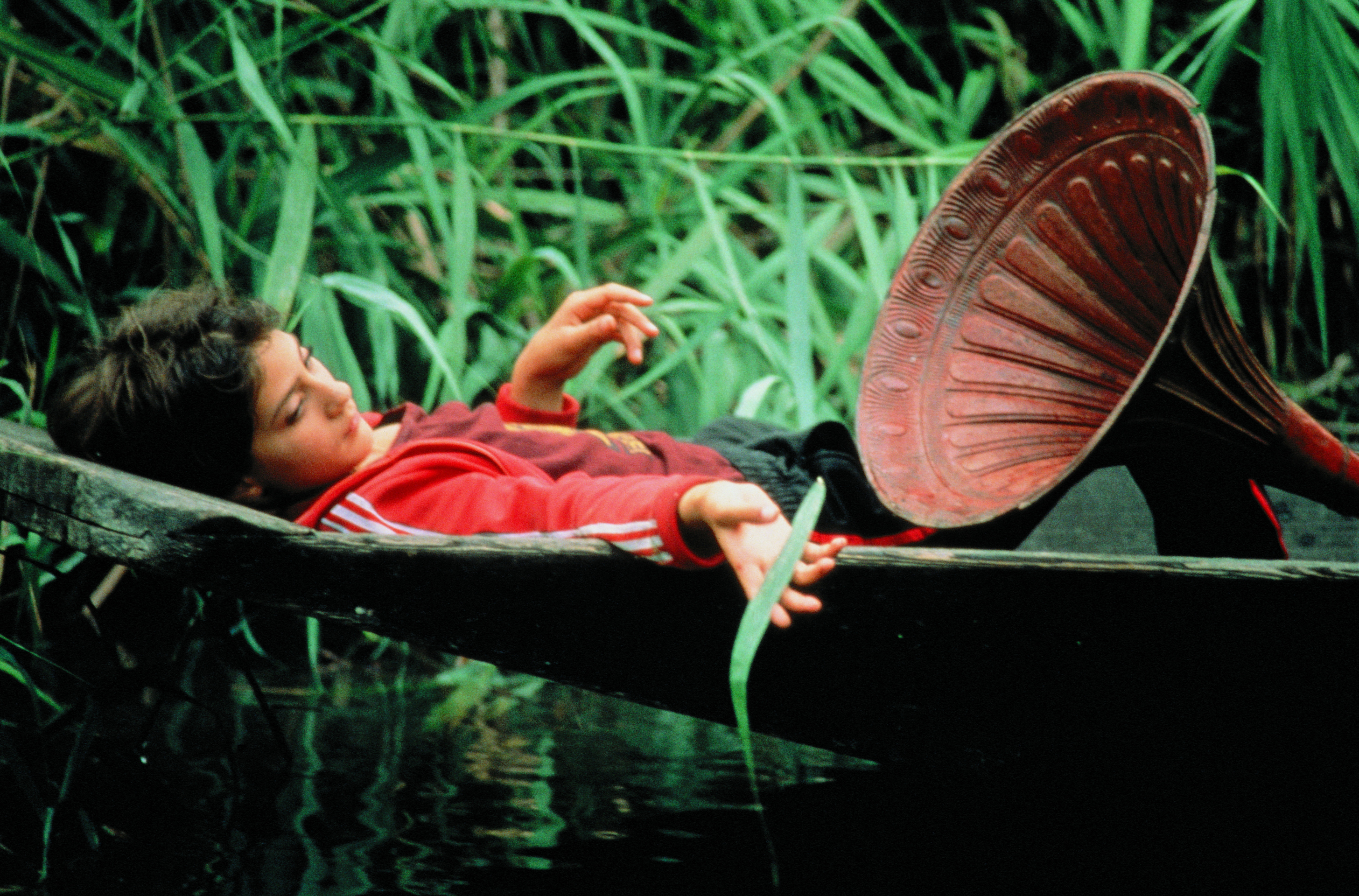 摇摆吉普赛剧照的剧照