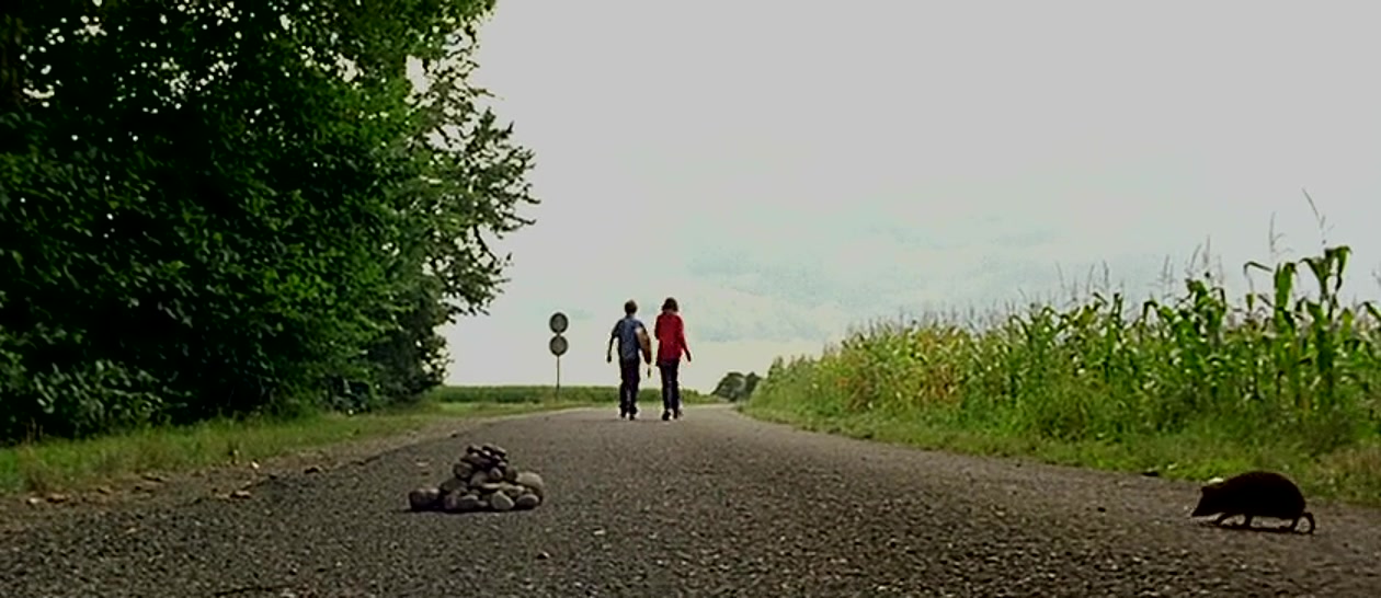 摇摆吉普赛剧照的剧照