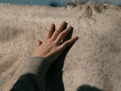 鱼缸剧照的剧照