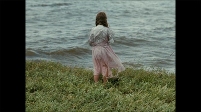 鱼缸剧照的剧照