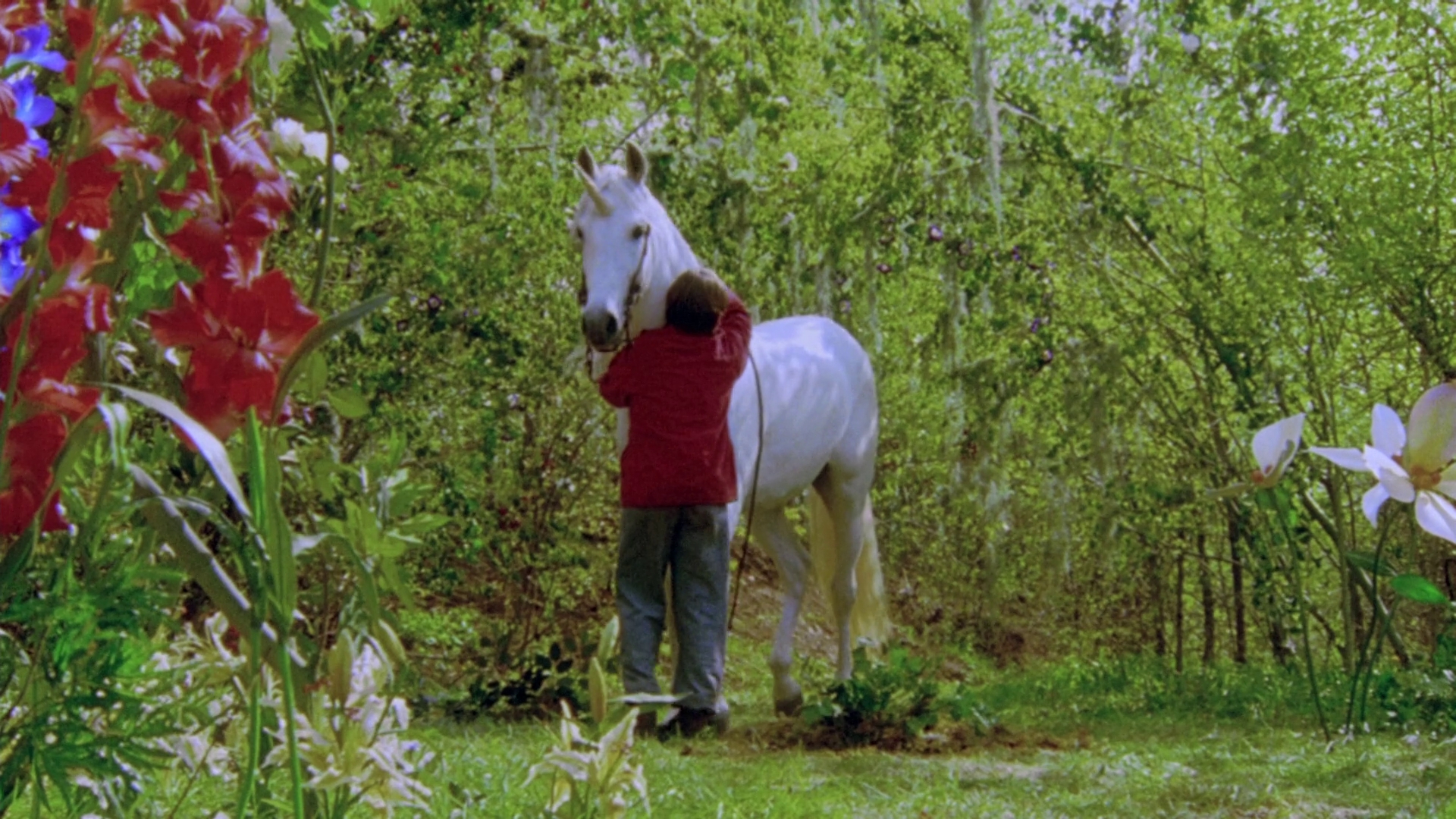 独角兽尼克剧照的剧照