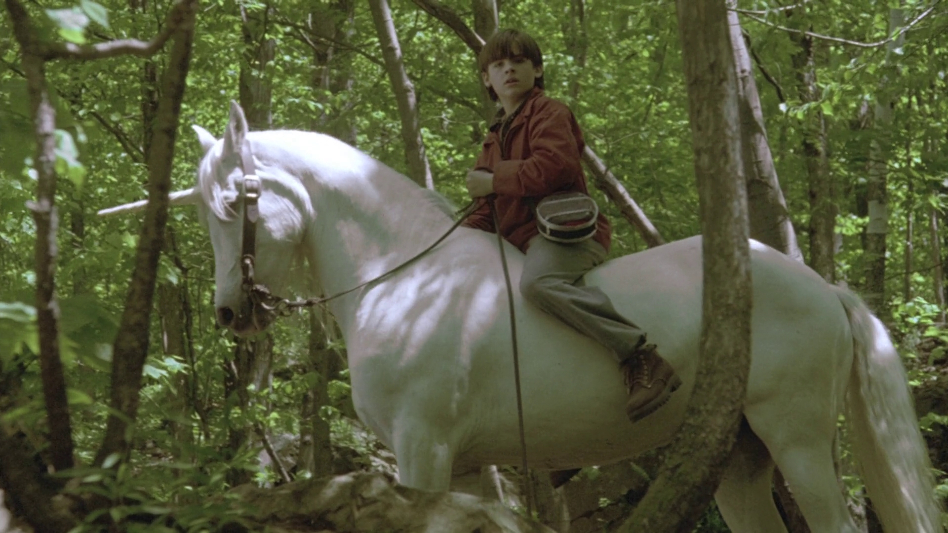 独角兽尼克剧照的剧照